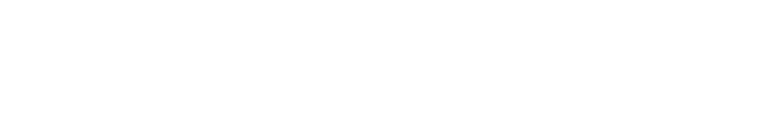 S2A